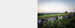 le-vignoble-nantais