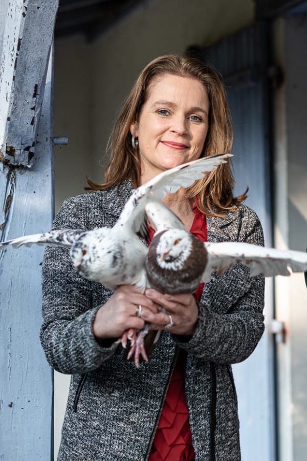 pigeon-marie-samuelle-cassard