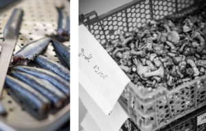 produits-du-terroir-mathieu-guibert-mobile